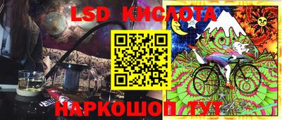 крисы Кунгур