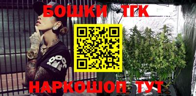 крисы Кунгур