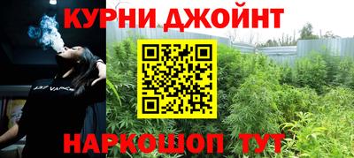 крисы Кунгур