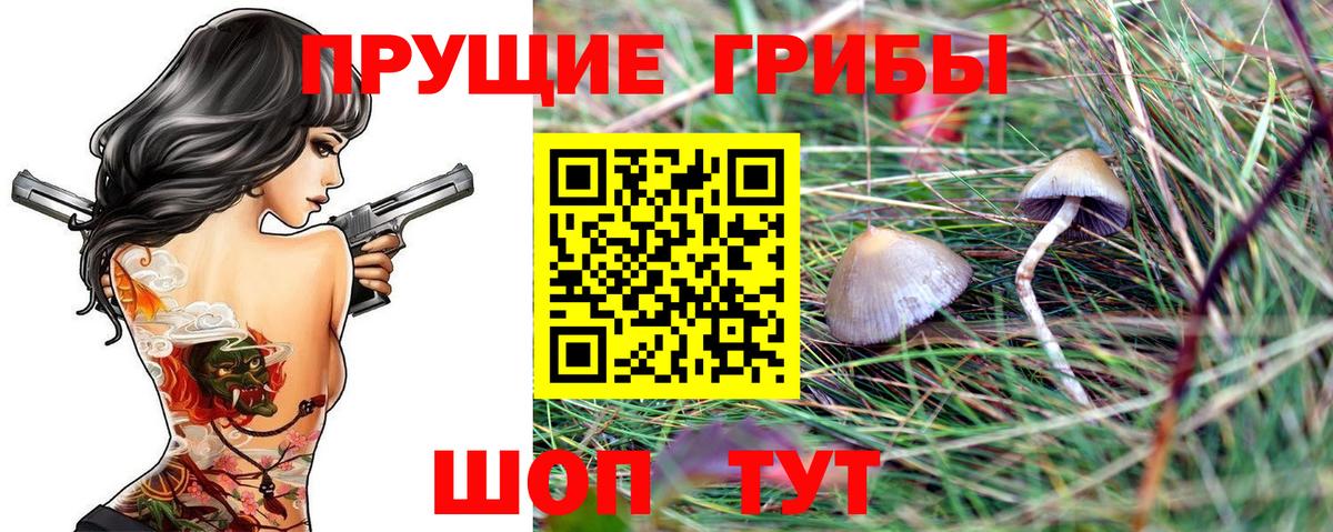 Псилоцибиновые грибы Magic Shrooms  Галлюциногенные грибы Psilocybe  закладка  Вход с VPN  Карасук 